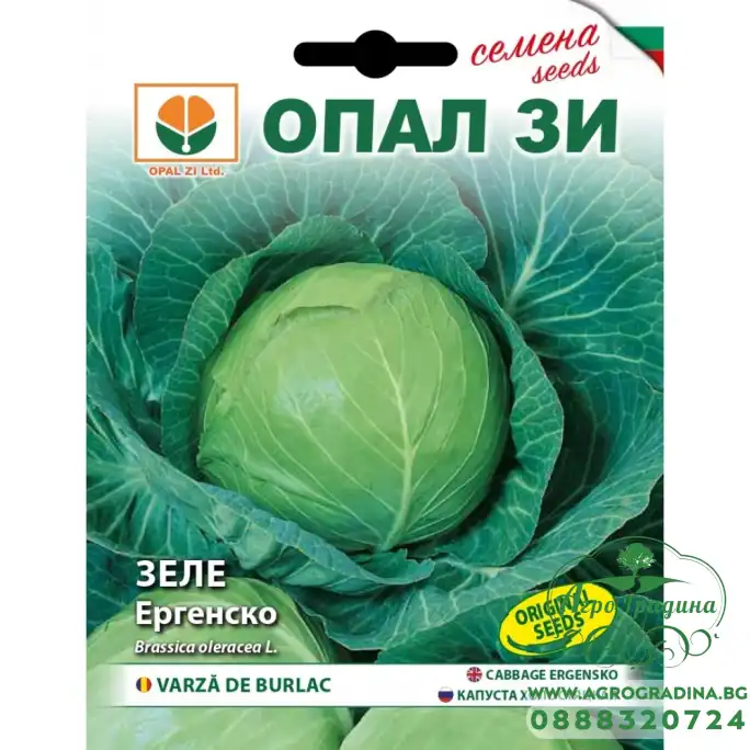 Зеле Ергенско - подобрено Кьосе