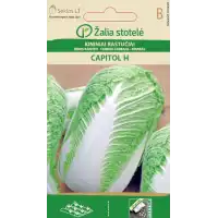 Зеле Китайско Капитол F1 / Capitol H