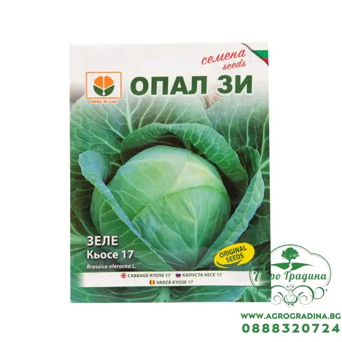 Зеле Кьосе 17