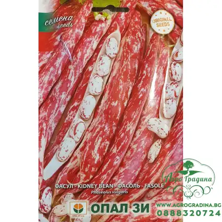 Фасул Лампо (шарен)