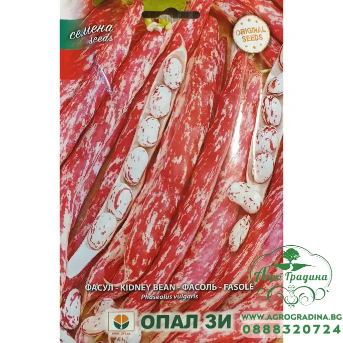 Фасул Лампо (шарен)