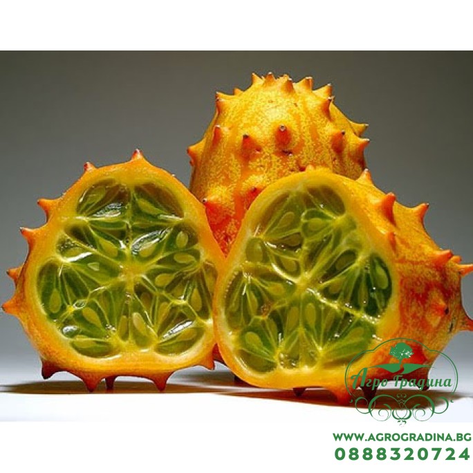 Кивано Африканска рогата краставица (Cucumis metuliferus) Кивано Африканска рогата краставица (Cucumis metuliferus)