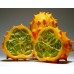 Кивано Африканска рогата краставица (Cucumis metuliferus) – Екзотични