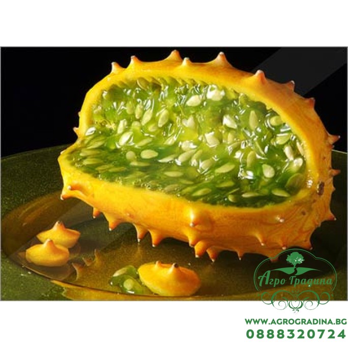 Кивано Африканска рогата краставица (Cucumis metuliferus) Кивано Африканска рогата краставица (Cucumis metuliferus)