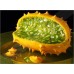 Кивано Африканска рогата краставица (Cucumis metuliferus) – Екзотични