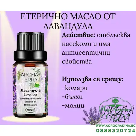 Етерично масло от Лавандула