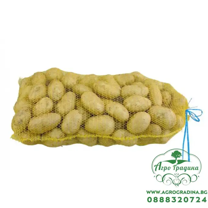 Плетени чували, гаци (рашел) за картофи и лук - 29 39 см ( 5кг )