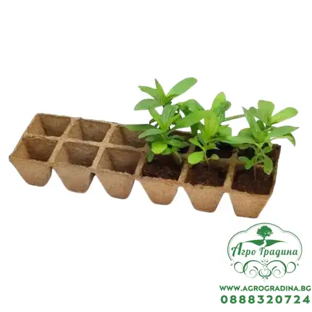 Торфени саксийки за разсад - 12 бр