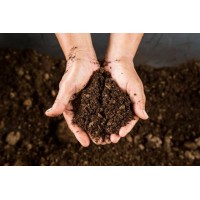 Кисел торф 5 л