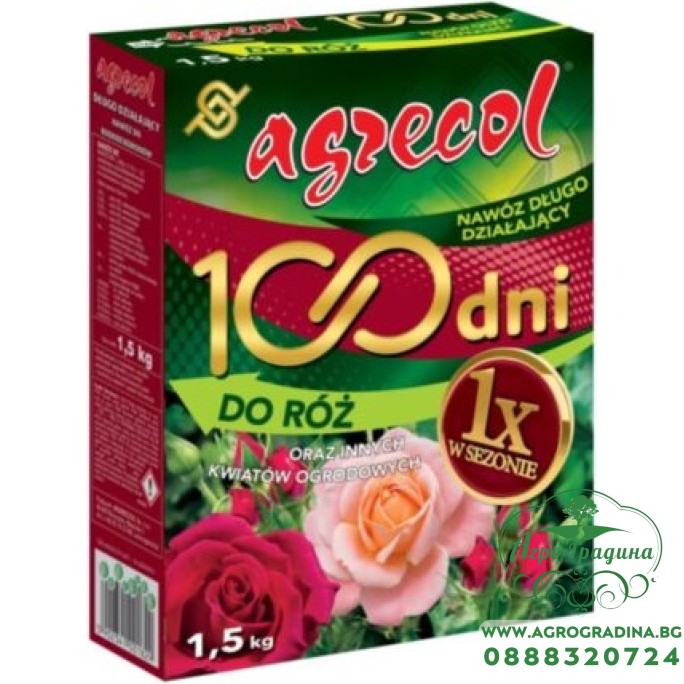 Тор 100 дни за рози