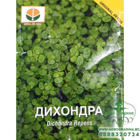 Дихондра - заместител на тревата, без косене