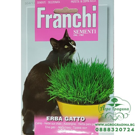 Трева за котки