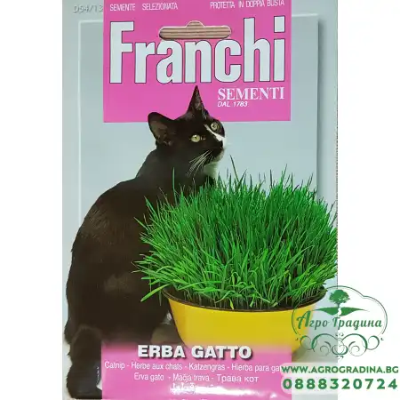 Трева за котки