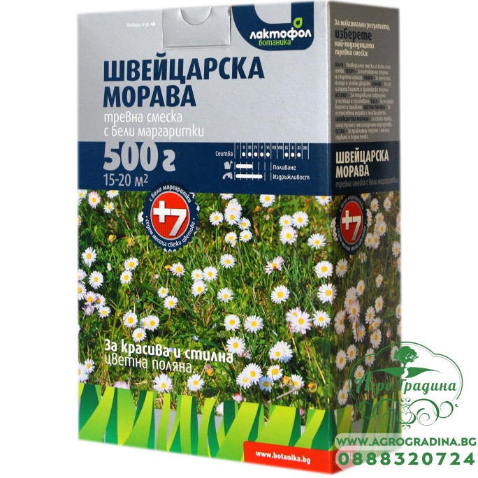 Тревна смес Швейцарска поляна с маргаритки