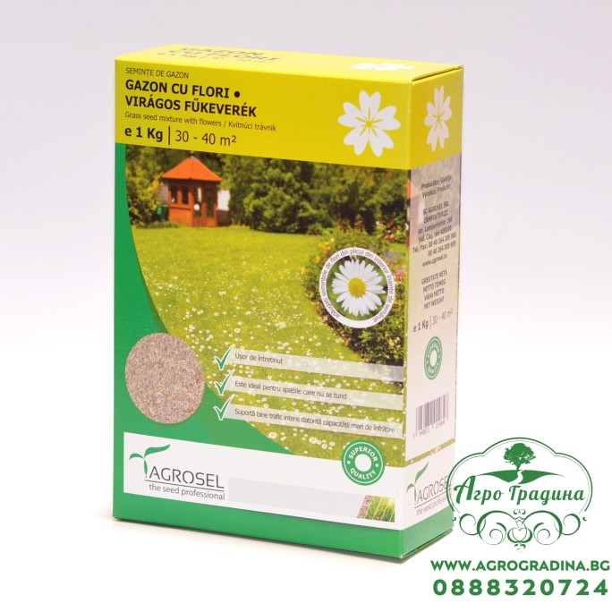 Тревна смеска с многогодишни парички (Bellis perennis) 1кг