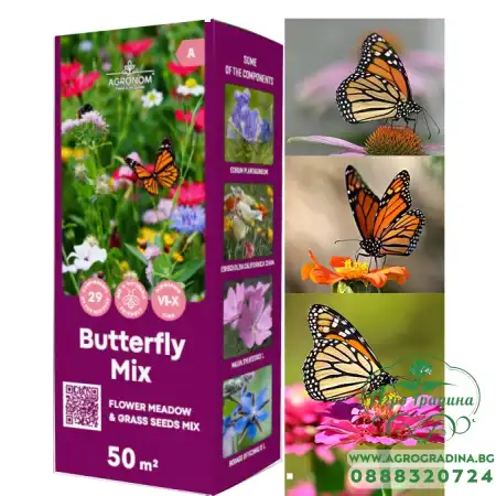 Цветна поляна за Пеперуди (29 вида цветя) Butterfly mix