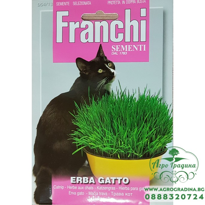 Трева за котки