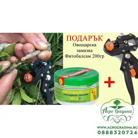 Ножица за ашладисване с 3-накрайника + ПОДАРЪК (ОВОЩАРСКА ЗАМАЗКА)