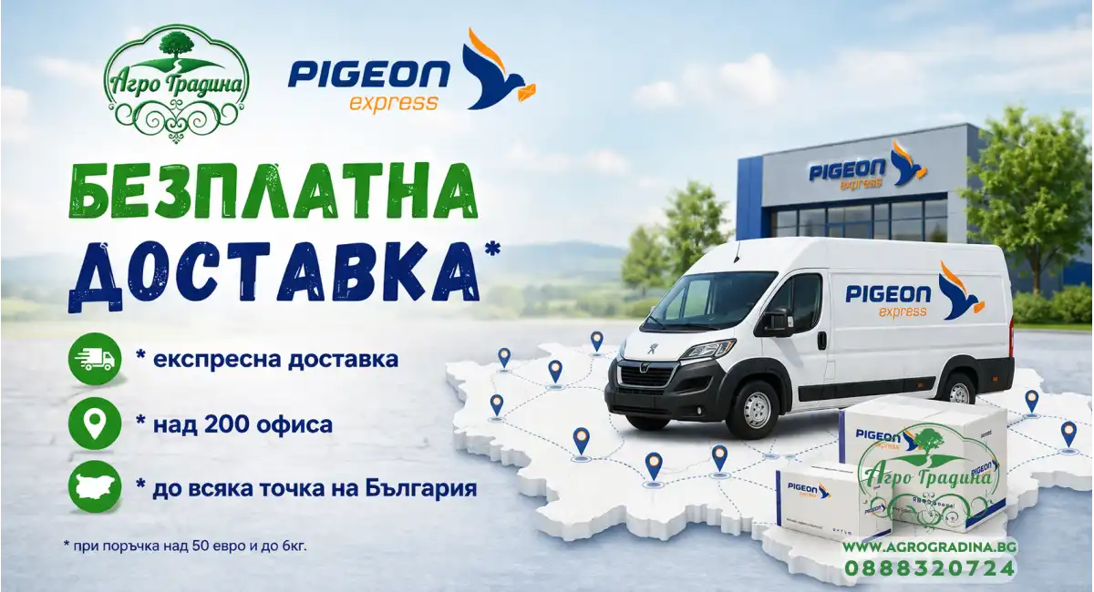 стартови семена
