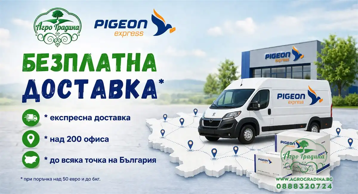 стартови семена