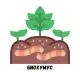 Биохумус Биохумус