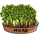 Бейби / микро растения