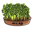 Бейби / микро растения