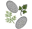 Серия - Дискове