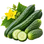 Краставици