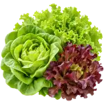 Марули и салати