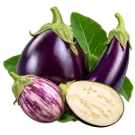 Патладжан