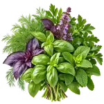 Подправки и билки