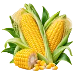 Царевица