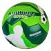R20 Комплект 2 машини 2Ah 4Ah + 3 RDP-BXS8 Garden