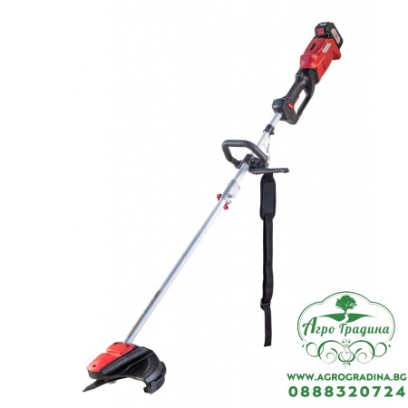 R20 Коса безчеткова акум. 300mm 20V 2Ah 1h RDP-SBBC20 Set