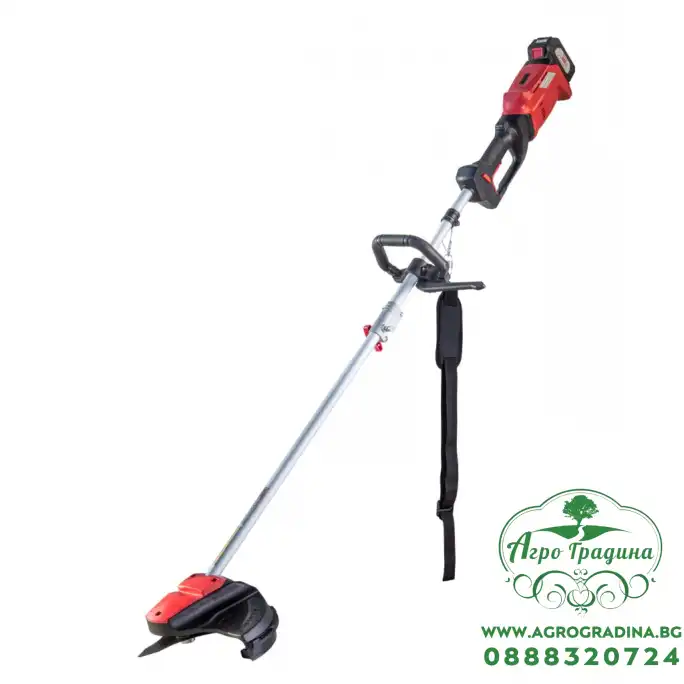 R20 Коса безчеткова акум. 300mm 20V 2Ah 1h RDP-SBBC20 Set