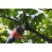 R20 Кастрачка и Храсторез 40cm 2в1 2Ah 3m RDP-PSHT20